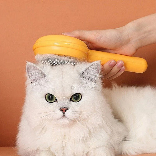 pet-hair-cleaning-comb-brush-500-419